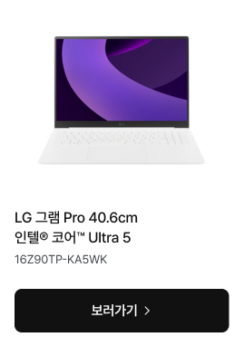 LG 그램 Pro Ultra 5 노트북