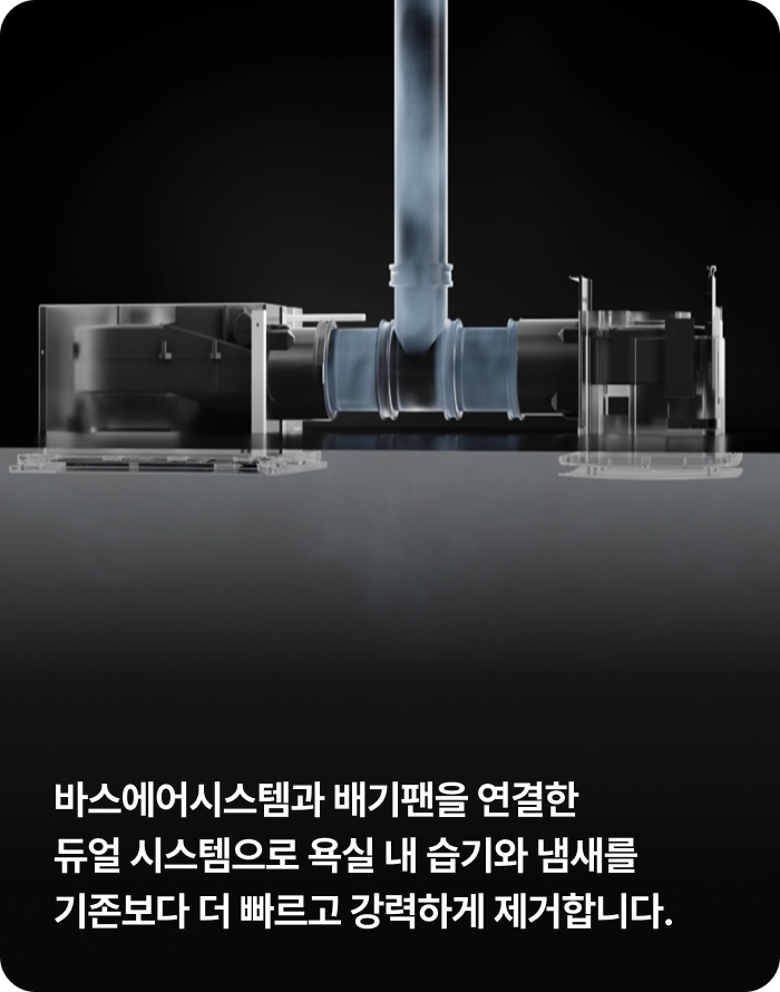 바스에어시스템의 듀얼배기에 관한 내용