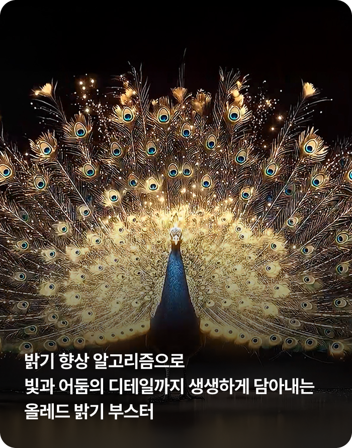밝기 향상 알고리즘으로 빛과 어둠의 디테일까지 생생하게 담아내는 올레드 밝기 부스터