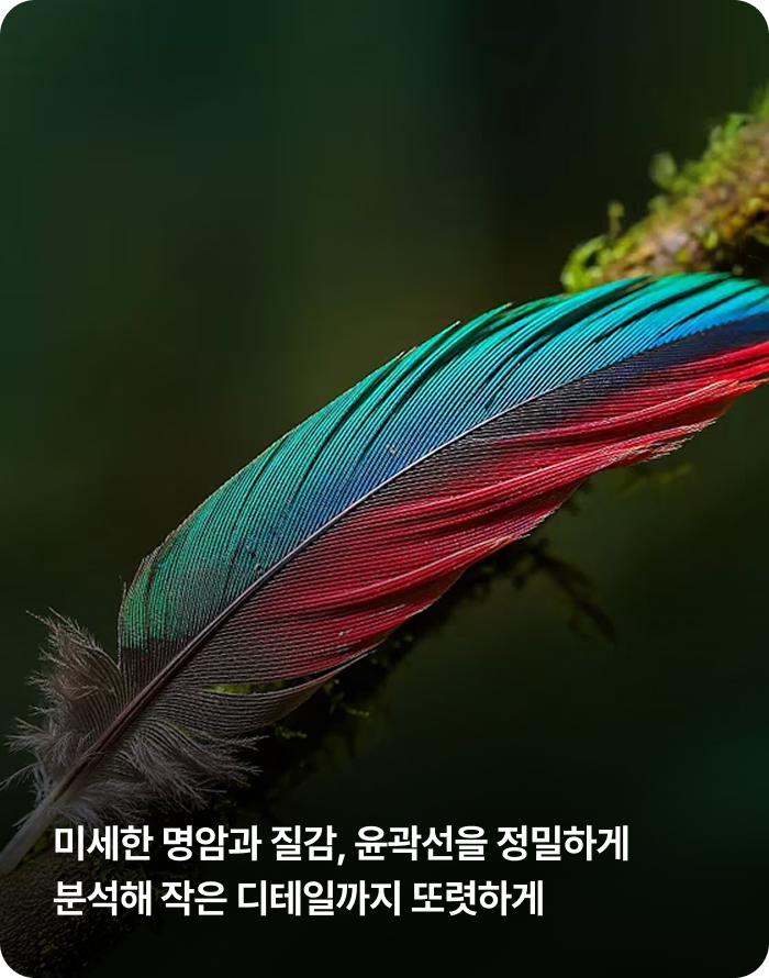 미세한 명암과 질감, 윤곽선을 정밀하게 분석해 작은 디테일까지 또렷하게